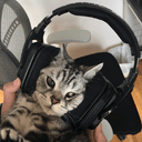 Heerozh GitHub avatar