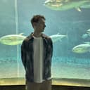 OvidijusParsiunas GitHub avatar