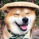 XuehaiPan GitHub avatar