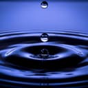 cobiwave GitHub avatar