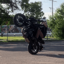 coleifer GitHub avatar