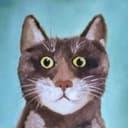 iridakos GitHub avatar