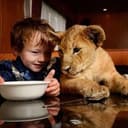 iwangjian GitHub avatar