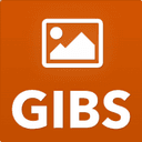nasa-gibs GitHub avatar