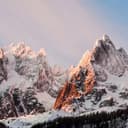 nitely GitHub avatar