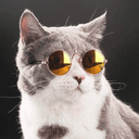 quangdangfit GitHub avatar