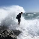 sharkdp GitHub avatar