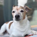 whyisdifficult GitHub avatar