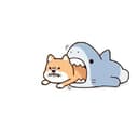 worldzhao GitHub avatar